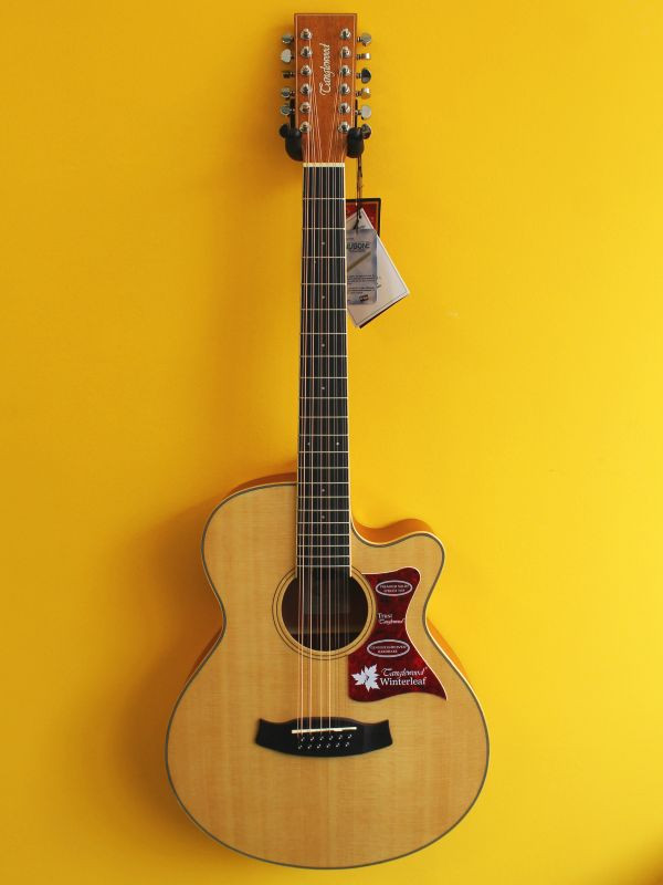 Tanglewood TW12CE 12-String